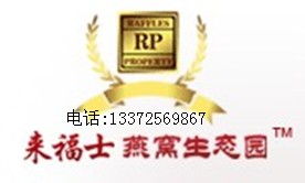 哪里能买到进口优质燕窝 | 燕窝资产的精致管理与采购指南