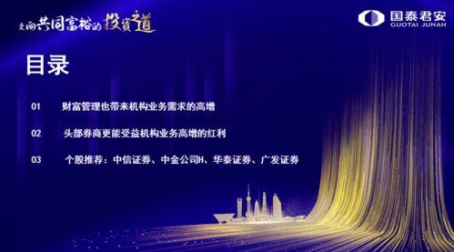 财富管理重塑券商价值，机构业务引领投资新共识